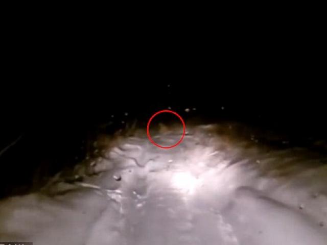 Video: Quái vật Yeti băng qua đường ở Nga?