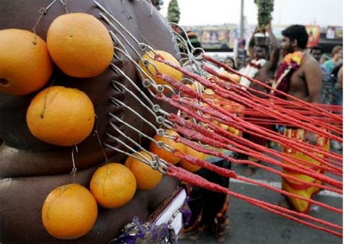 Hành xác tại lễ hội Thaipusam - 2