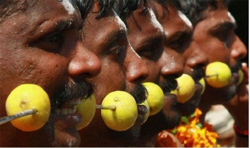 Hành xác tại lễ hội Thaipusam - 8