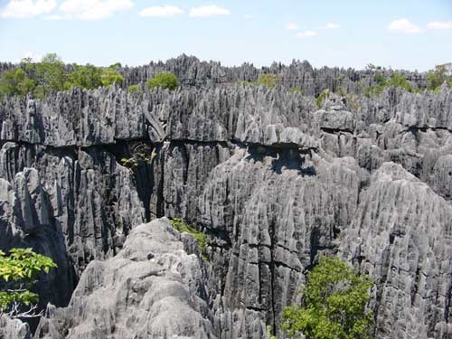 Nơi sự sống còn nhiều hoang dã, Du lịch, anh dep, hinh anh dep, du lich, du lich thanh nien, cong ty du lich, Madagascar