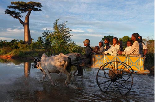 Nơi sự sống còn nhiều hoang dã, Du lịch, anh dep, hinh anh dep, du lich, du lich thanh nien, cong ty du lich, Madagascar