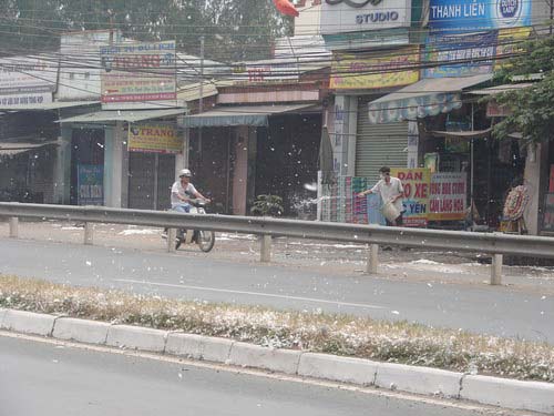 Đồng Nai: "Tuyết" rơi trên trên quốc lộ - 5