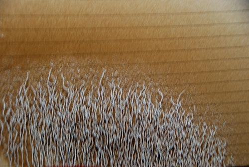 Người dân tiếp tục nhắn tin cho BT Thăng - 6