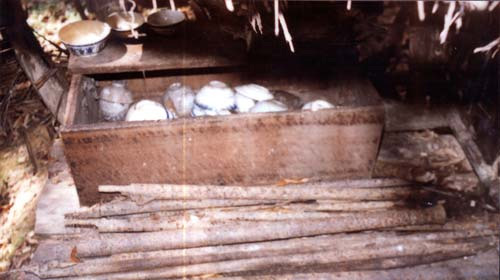 Bí mật những kho báu ở Lâm Đồng - 2