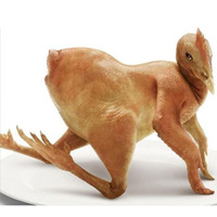 Chí Phèo muốn Thị Nở nude