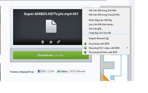 Cách download lại trên Mediafire bằng IDM khi đứt giữa chừng, Công nghệ thông tin, download, Mediafire, cach download tren Mediafire, IDM, huong dan download, Internet Download Manager,