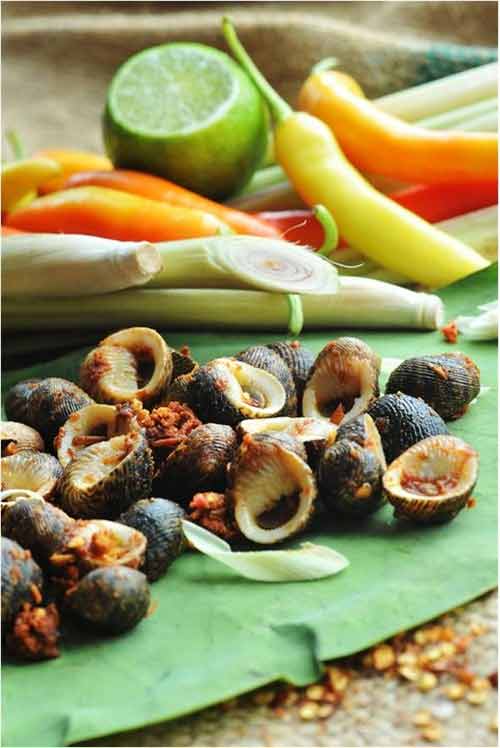 Những quán ốc "đỉnh" nhất ở Sài Gòn, Ẩm thực, am thuc, quan oc, oc nhoi thit, cang ghe rang muoi, mon ngon, oc oanh, mon ngon de lam, bao