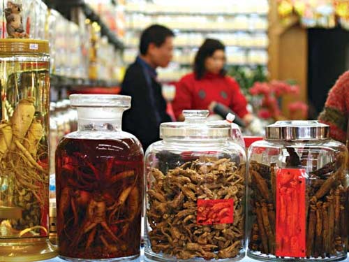 Đông y – thuốc cũng chẳng hiền, Sức khỏe đời sống, thuoc dong y, y hoc co truyen, thuoc bac, nuoc sam, benh nhi, thuoc, bao