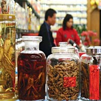 Đông y – thuốc cũng chẳng hiền