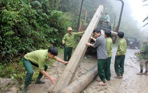 Vụ phá rừng lớn chưa từng có tại Hà Tĩnh - 4