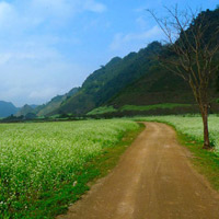 Tư vấn đi phượt ở cao nguyên Mộc Châu