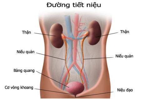 Kỹ thuật mới điều trị són tiểu - 1