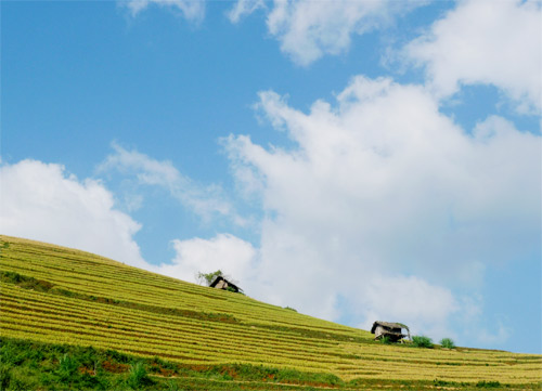 Những khoảng trời xanh tuyệt đẹp nhất VN, Du lịch, du lich, Viet Nam, du lich the gioi, du lich 2012, Mu Cang Chai, kinh nghiem du lich