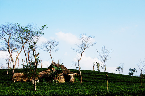 Những khoảng trời xanh tuyệt đẹp nhất VN, Du lịch, du lich, Viet Nam, du lich the gioi, du lich 2012, Mu Cang Chai, kinh nghiem du lich