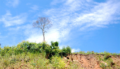 Những khoảng trời xanh tuyệt đẹp nhất VN, Du lịch, du lich, Viet Nam, du lich the gioi, du lich 2012, Mu Cang Chai, kinh nghiem du lich