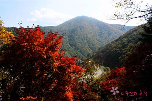 Đắm mình trong cảnh đẹp mùa thu xứ Hàn - 6