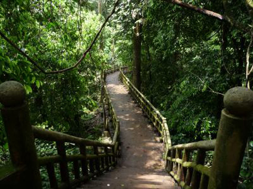 Kinh nghiệm du lịch rừng Cúc Phương, Du lịch, du lich, kinh nghiem du lich, rung cuc phuong, du lich 2012, du lich the gioi,