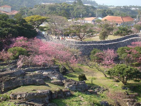 Thăm 5 lâu đài cổ kính ở Okinawa - 8