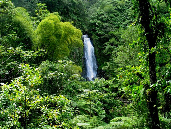 8. Cộng hòa Dominica: Miền đất này mang lại một trong những trải nghiệm sinh thái hàng đầu thế giới cả trên và dưới mặt nước. Du khách sẽ tìm thấy những khu rừng nhiệt đới và thác nước như trong truyện cổ tích và cả các bãi lặn từ khá lâu đời. 
