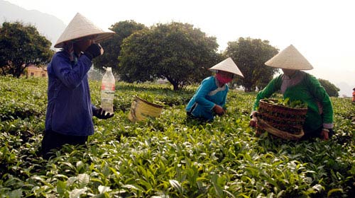 Toàn cảnh nắng nóng cả nước, Tin tức trong ngày, nắng nóng, bệnh mùa hè, trẻ nhỏ, hồ bơi, người già, bệnh viện