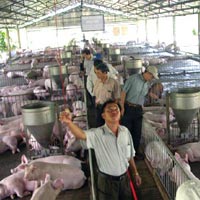 phá sản - Tin tuc Hình ảnh Video Clip MỚI NHẤT pha san
