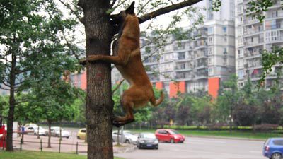 5giay lúc này toàn bán chứ không có khách mua :(( Hu hu