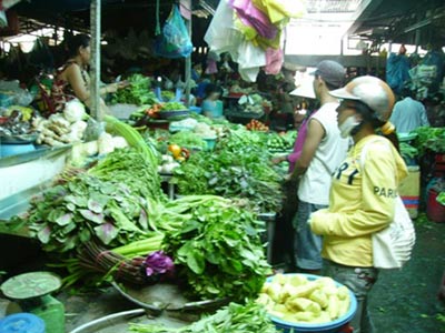 Giá rau cao như thịt, cá - 1
