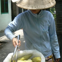 bắp - Tin tuc Hình ảnh Video Clip MỚI NHẤT bap