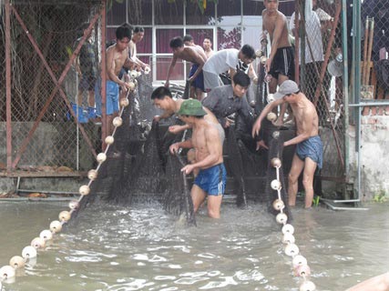 Chùm ảnh: Diễn tập nước rút bắt Cụ Rùa - 1