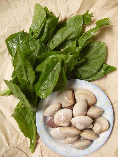 Mát lành canh ngao nấu rau mùng tơi - 1