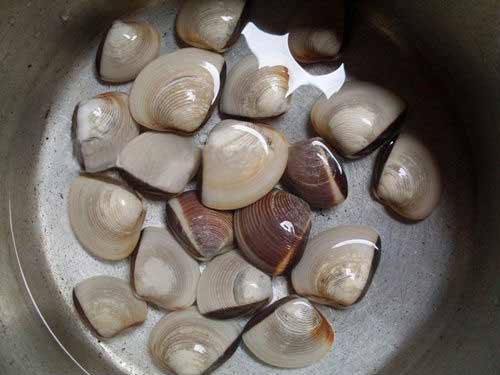 Mát lành canh ngao nấu rau mùng tơi - 3