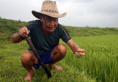 Gặp mặt hai "thần y" chữa rắn độc cắn - 1
