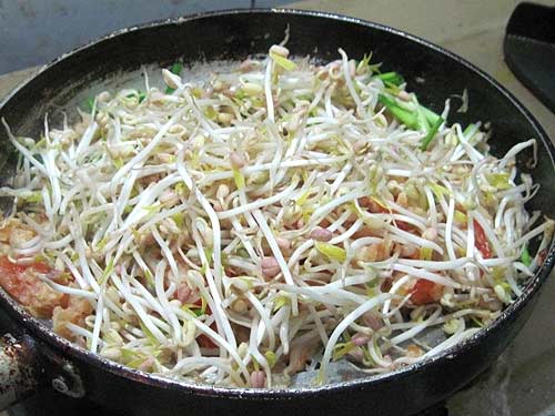Thuốc biến giá đỗ "gầy" thành "béo" - 1