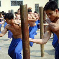 Những chuyện bi hài của cảnh sát hình sự