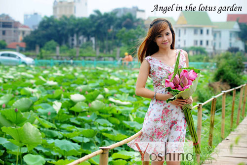 YOSHINO ra mắt bộ sưu tập mới - 7