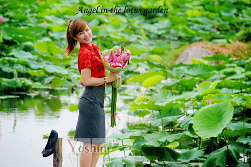 YOSHINO ra mắt bộ sưu tập mới - 4