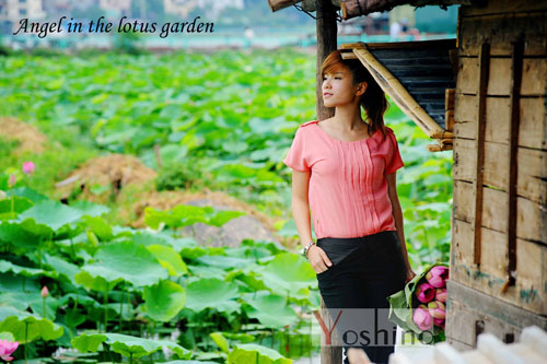 YOSHINO ra mắt bộ sưu tập mới - 5