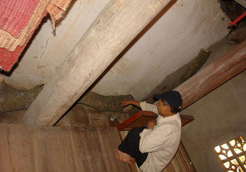 Cây sưa trị giá chục tỷ đồng ở Bắc Ninh - 9