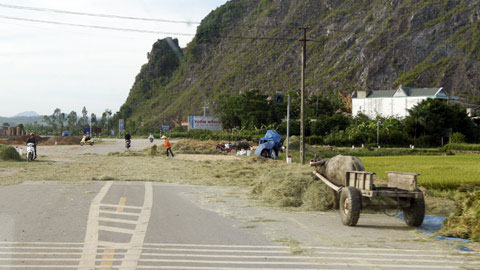 Nông dân "đại náo" quốc lộ ngày mùa - 2