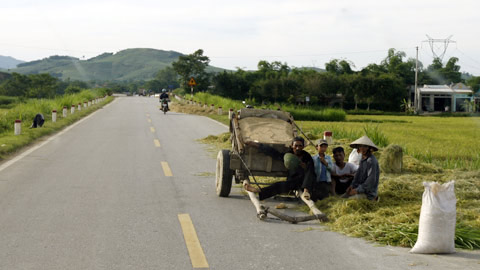 Nông dân "đại náo" quốc lộ ngày mùa - 3