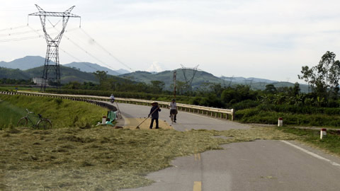 Nông dân "đại náo" quốc lộ ngày mùa - 4