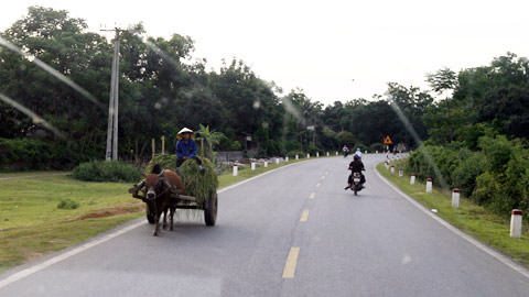 Nông dân "đại náo" quốc lộ ngày mùa - 6