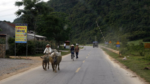 Nông dân "đại náo" quốc lộ ngày mùa - 7