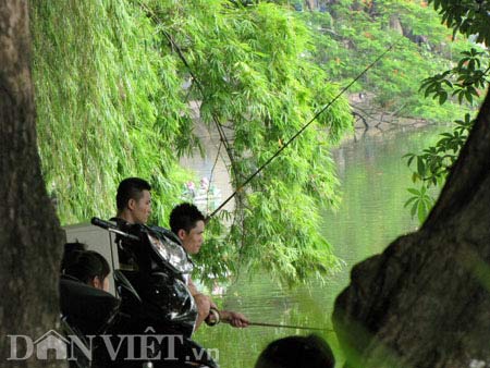 Trắng trợn trộm thức ăn của cụ Rùa - 1
