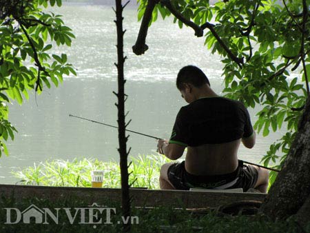 Trắng trợn trộm thức ăn của cụ Rùa - 2