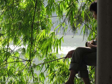 Trắng trợn trộm thức ăn của cụ Rùa - 5