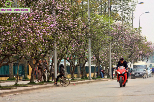 Khoảnh khắc Hà Nội thay áo mới, Bạn trẻ - Cuộc sống, 