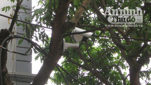 Vụ hỗn chiến trên đê: Lộ diện “ông trùm” - 1