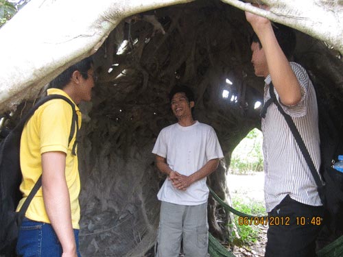 Ngắm bộ rễ khủng của cây đa bạc tỷ, Tin tức trong ngày, cay da canh, cay canh, sinh vat canh, choi cay, cay da re khung, tia cay, bonsai, thucung, bao, tin hay, tin hot, tin tuc