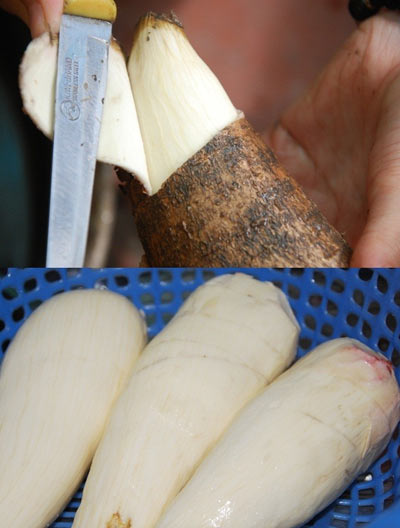 Khoai mì nấu sữa bùi béo - 2